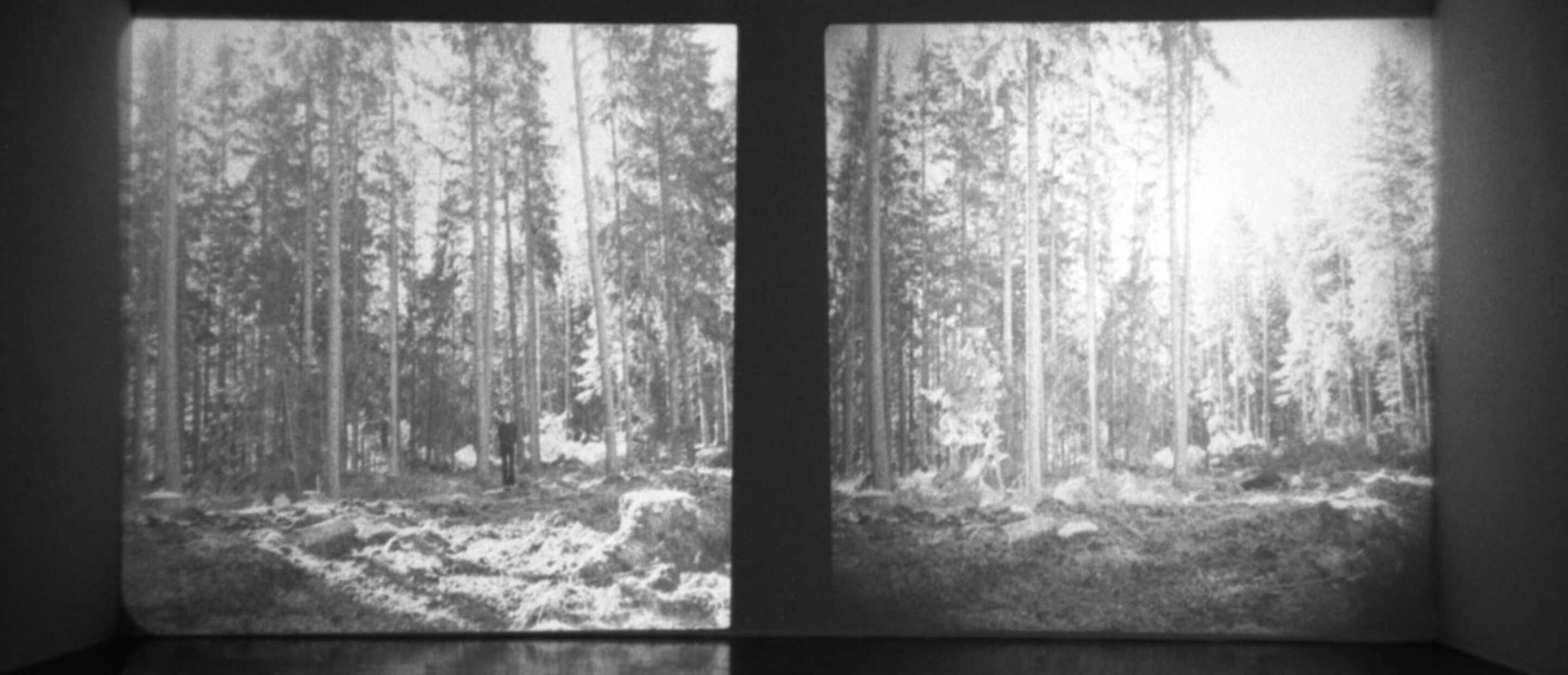 Bas Jan Ader, Untitled (Sweden), 1971. Projection of two color slides. Courtesy of the Bas Jan Ader Estate and Patrick Painter Editions.  