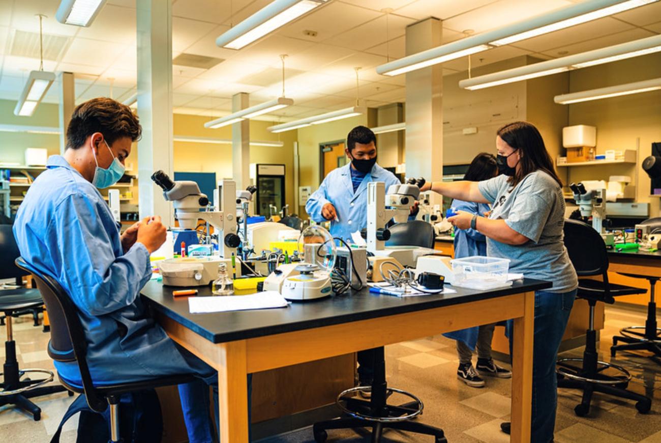 Students in Professor Sara Olson's research lab.