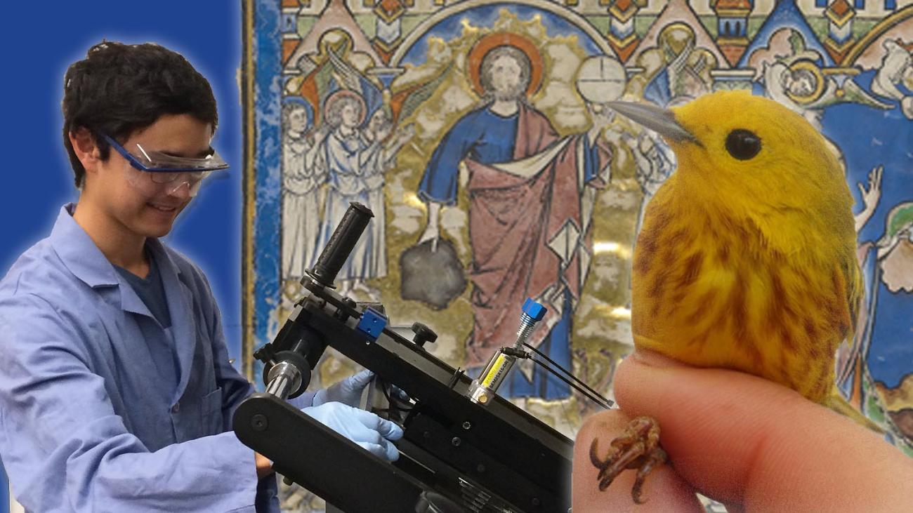 A boy with lab equipement, a yellow bird and the Morgan Crusader bible in the background