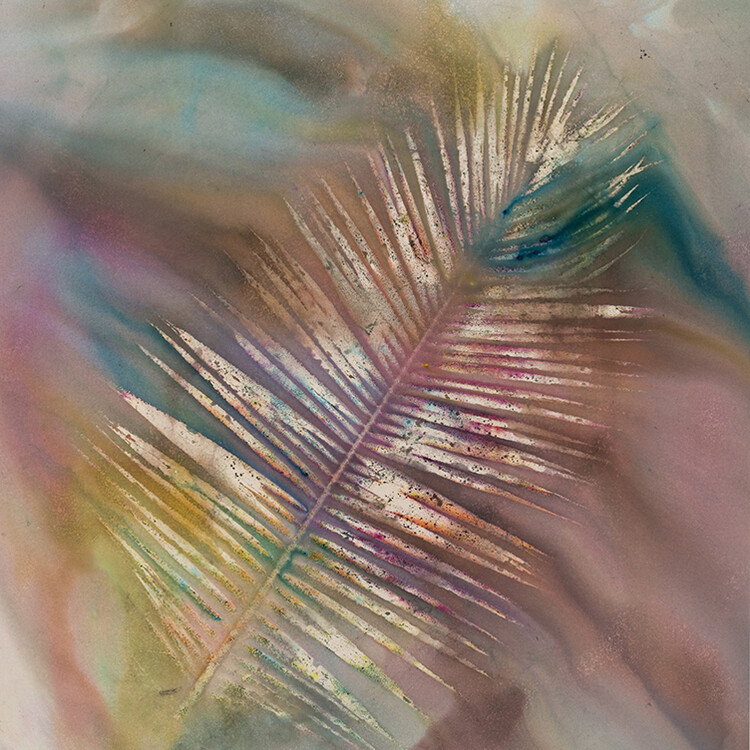 Sam Falls, Untitled (Venice, Palm 5), 2014, Dye on canvas, 81 x 72 in. Courtesy of the artist. 