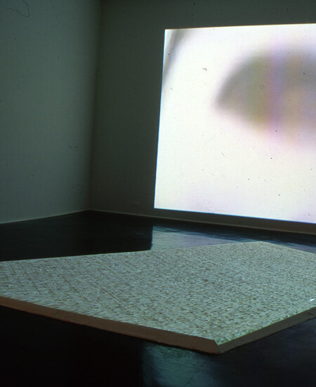 Installation view at Pomona College Museum of Art. 2