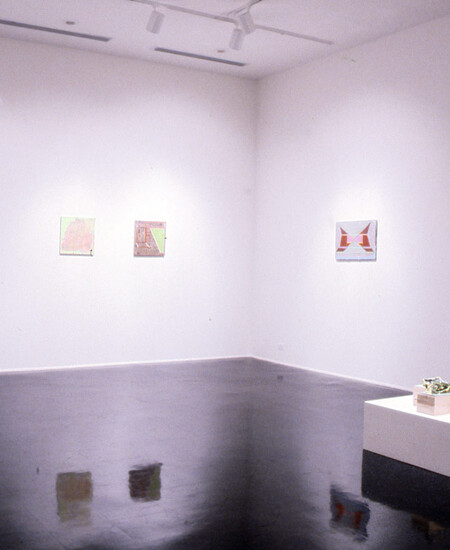 Installation view at Pomona College Museum of Art. 2