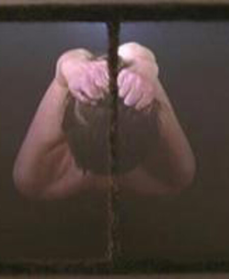 Denise Marika, Bisected III , 2002, Video Projection on steel an artificial fur, 47x54.5x3 in