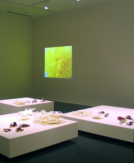 Installation view of Project Series 20: Pauline Stella Sanchez at the Pomona College Museum of Art