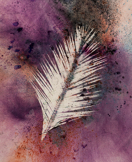 Sam Falls, Untitled (Venice, Palm 4), 2014, Dye on canvas, 100 x 76 in. Courtesy of the artist. 