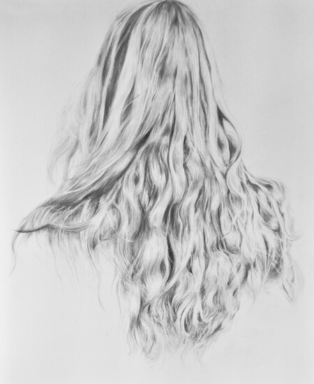Jing Jin, Gill, 2014, pencil on paper, 19.5" x 25.5" 