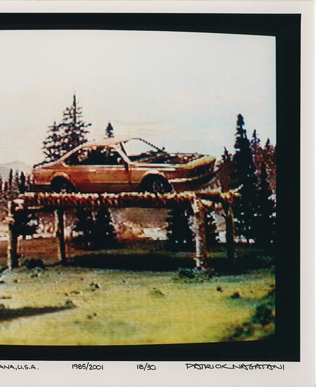 Photo of TV screen showing trees with brown car hoisted on pedestal