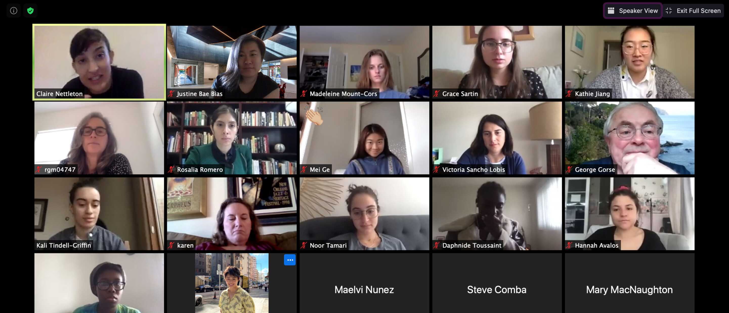 Screenshot of online conference via Zoom