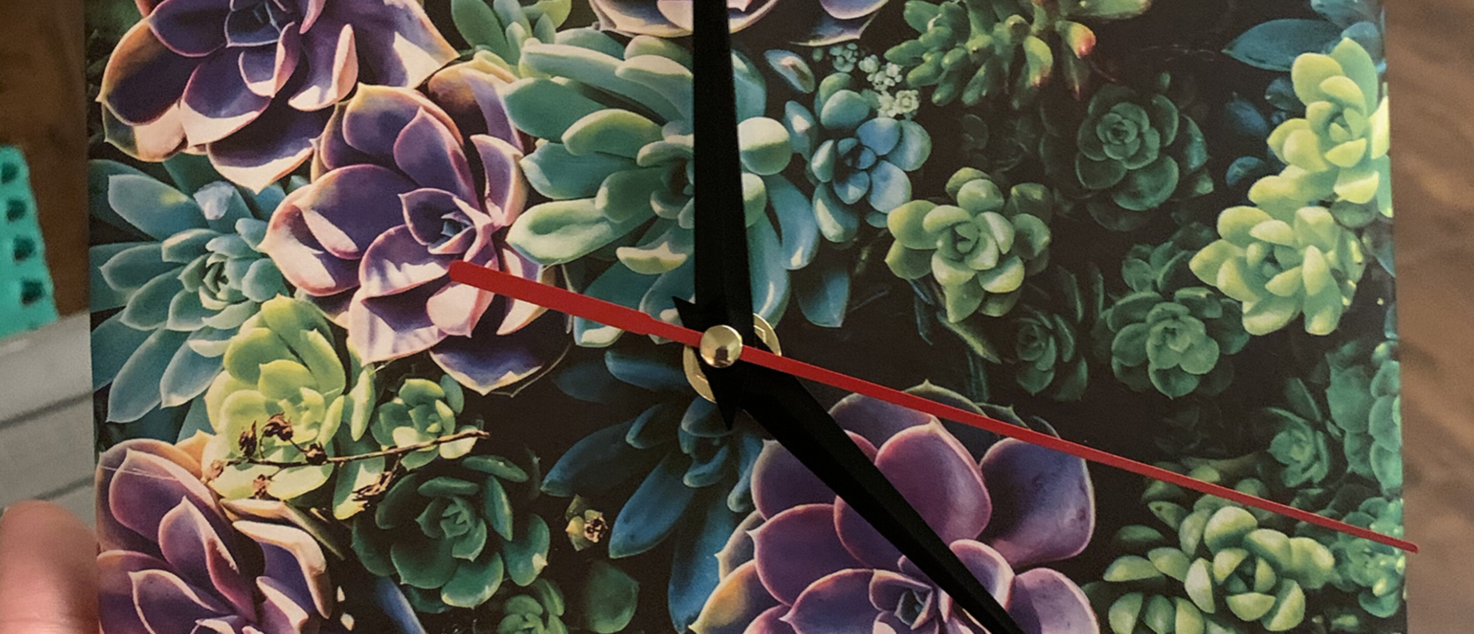 Succulent image created into a clock