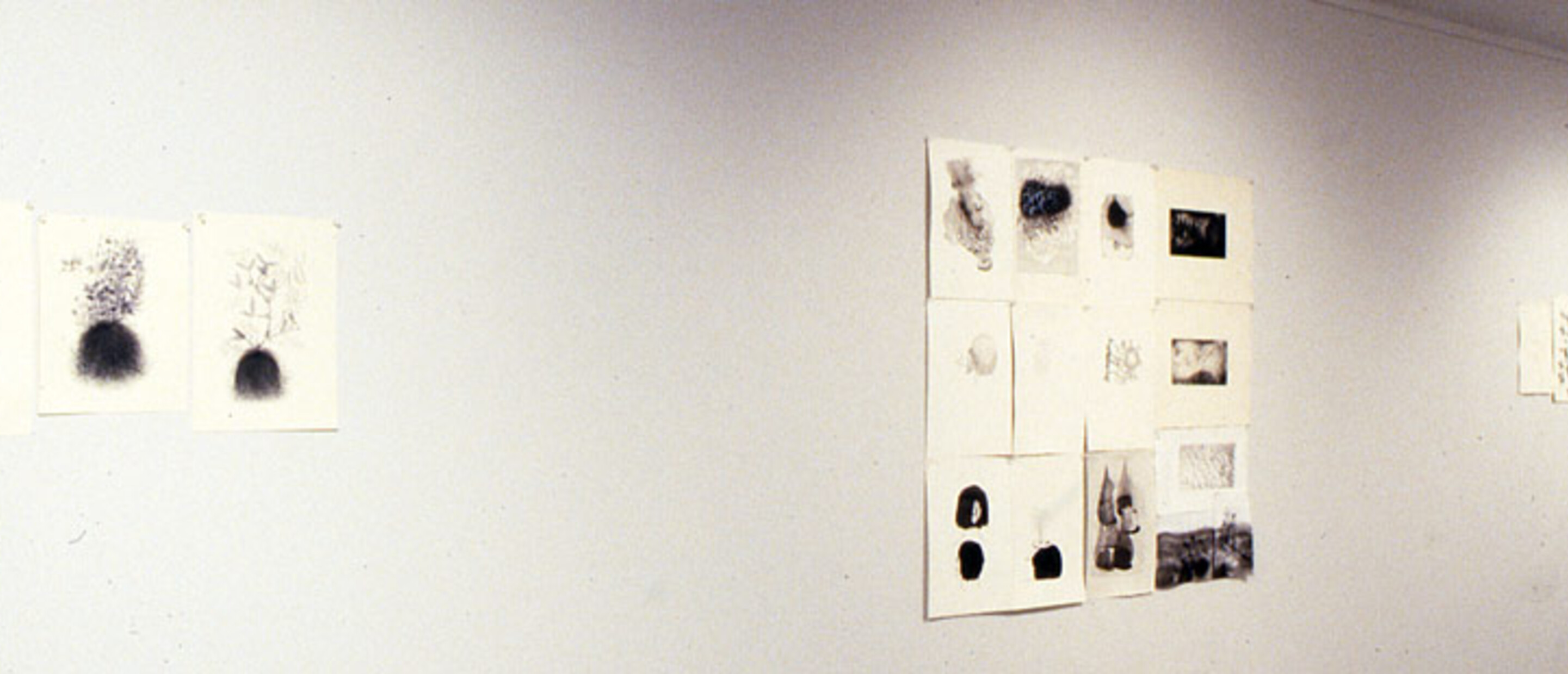 Installation view at Pomona College Museum of Art.