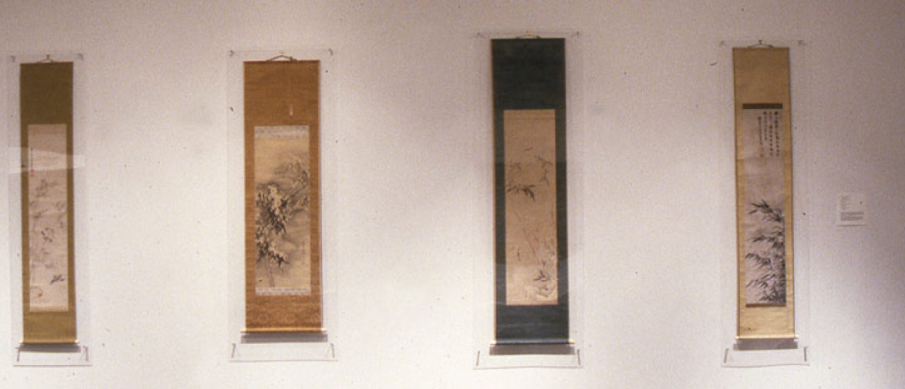 A Study in Contrasts