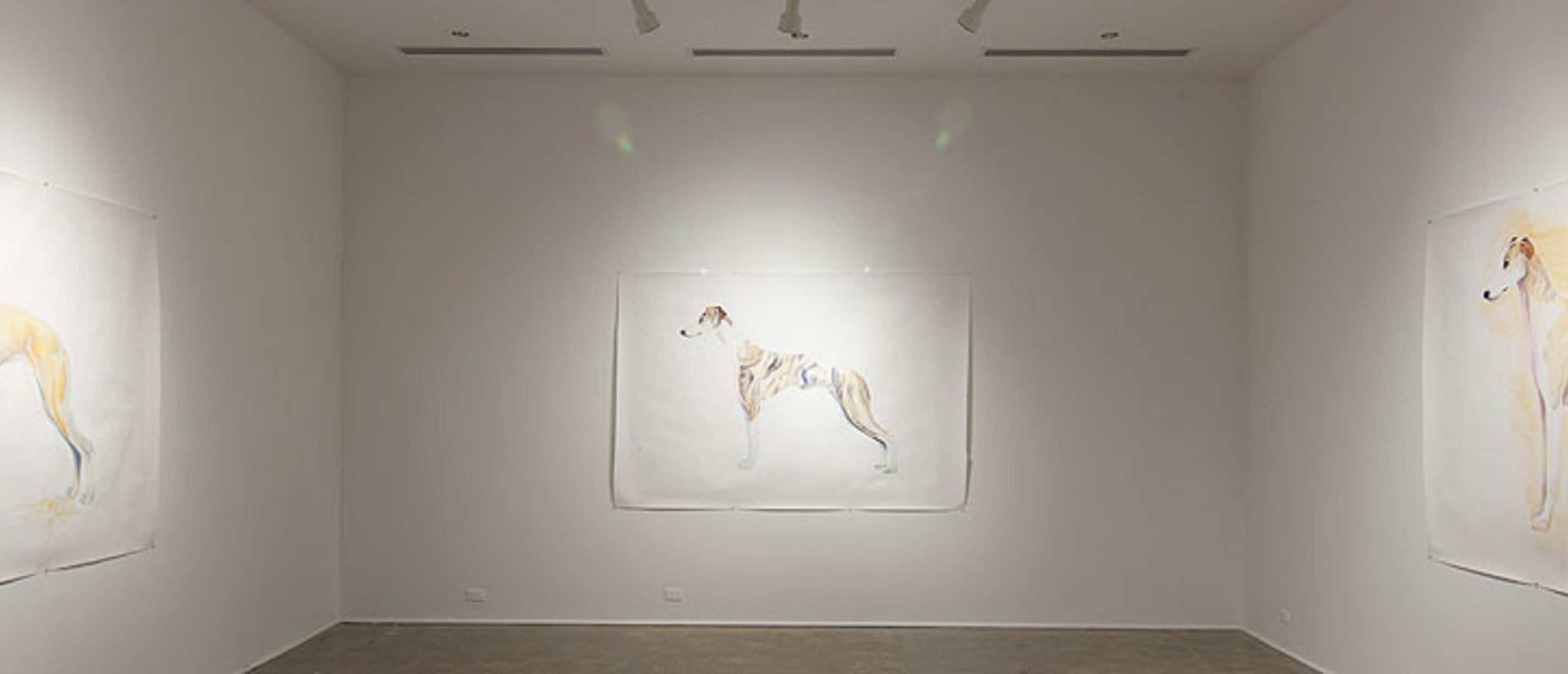 Installation view at the Pomona College Museum of Art