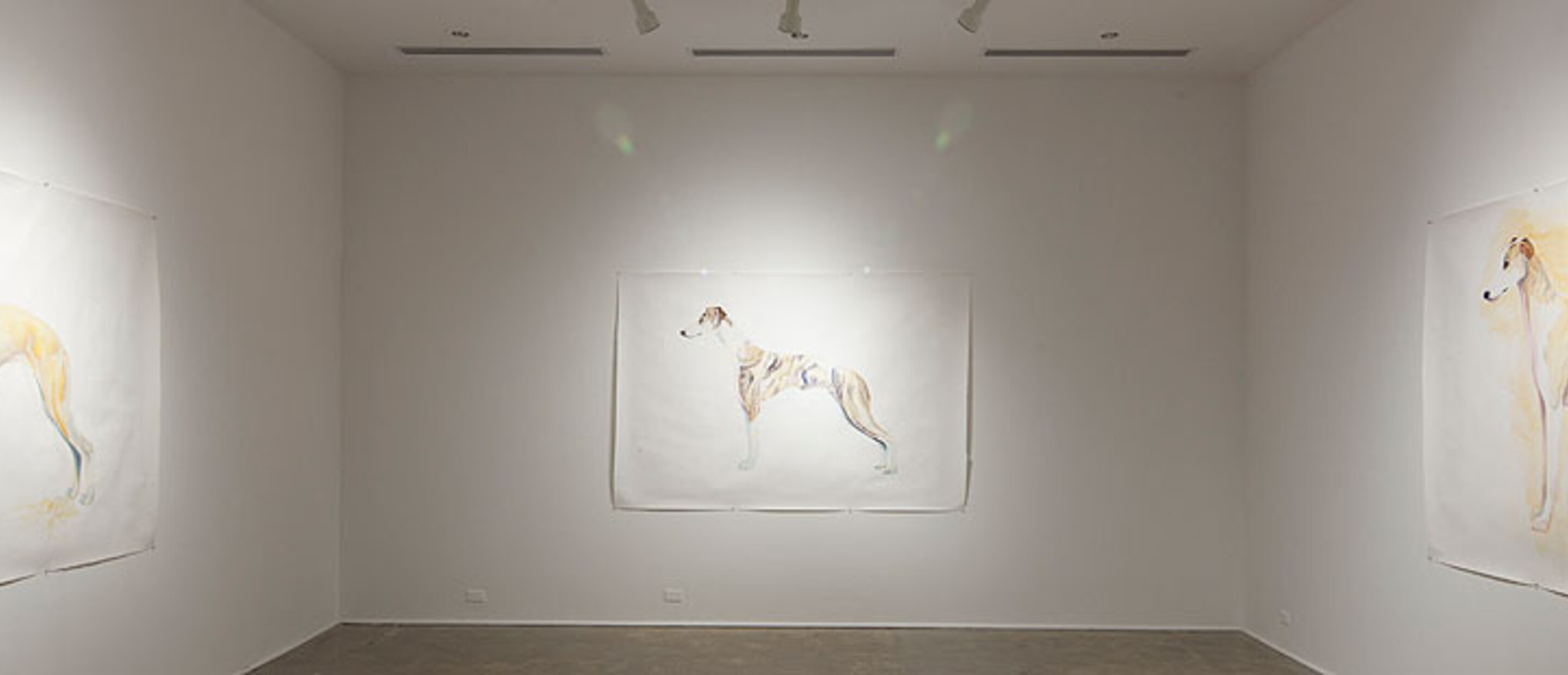 Installation view at the Pomona College Museum of Art