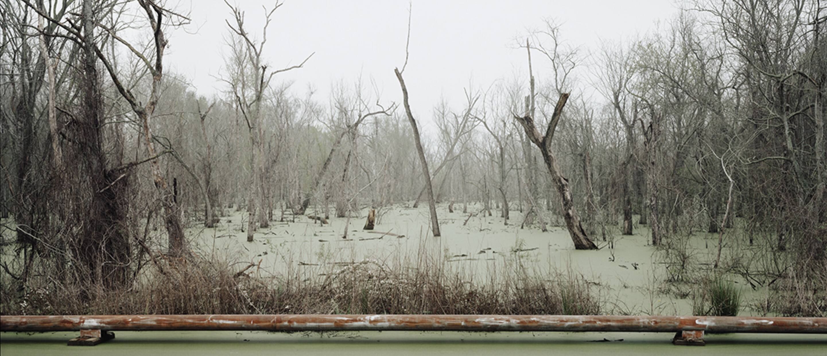 Richard Misrach, Swamp and Pipeline, Geismar, Louisiana, 1998, © Richard Misrach, courtesy of Pace/MacGill Gallery, New York; Fraenkel Gallery, San Francisco; and Marc Selwyn Gallery, Los Angeles