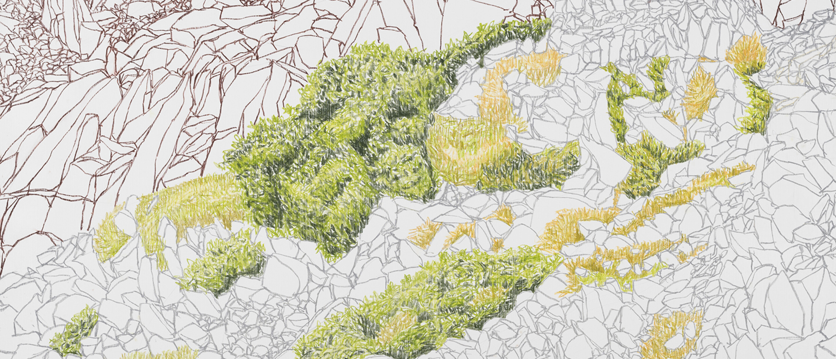 Landscape drawing using lines with green and yellow detail