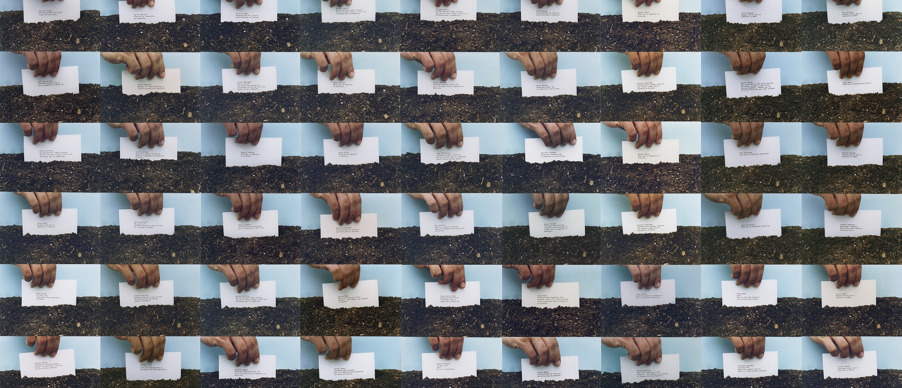 repetition of the same image creating a pattern
