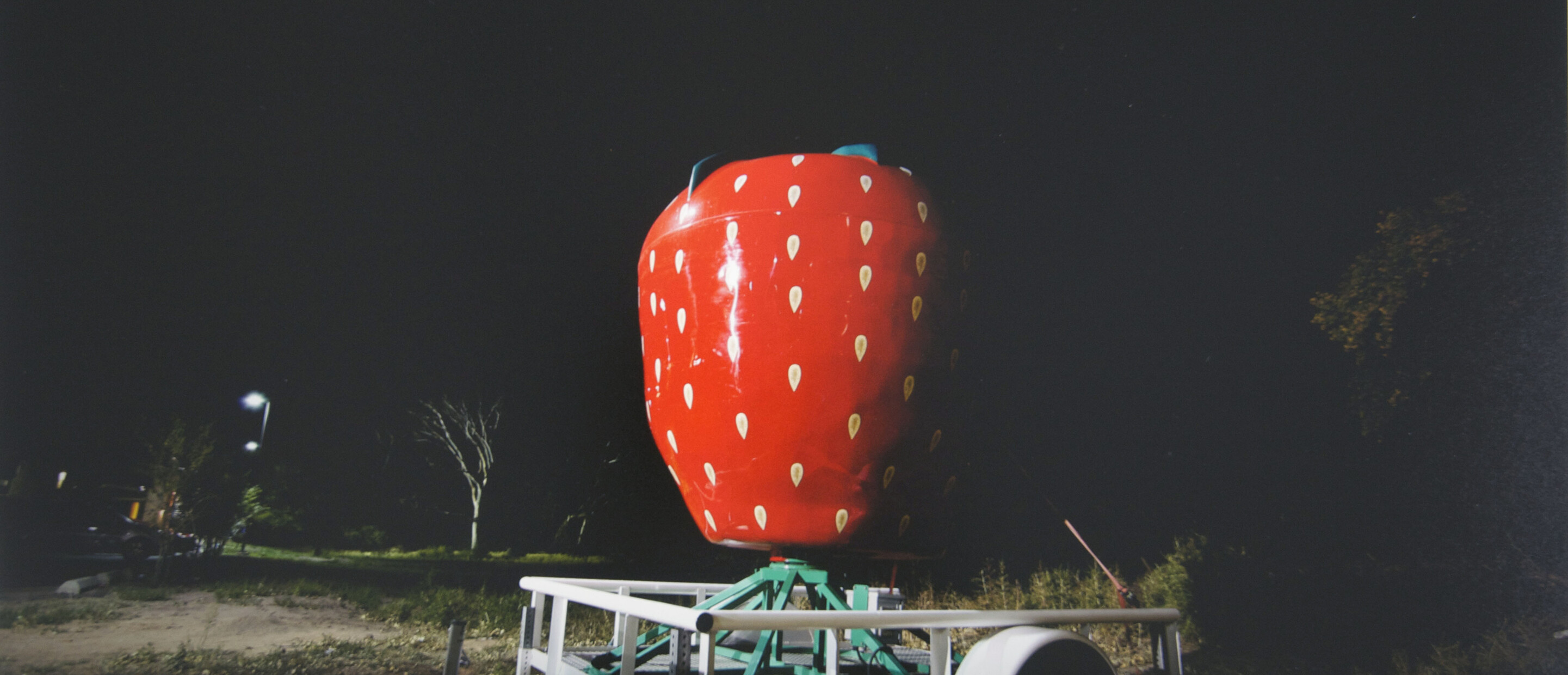 photo of strawberry sculpture