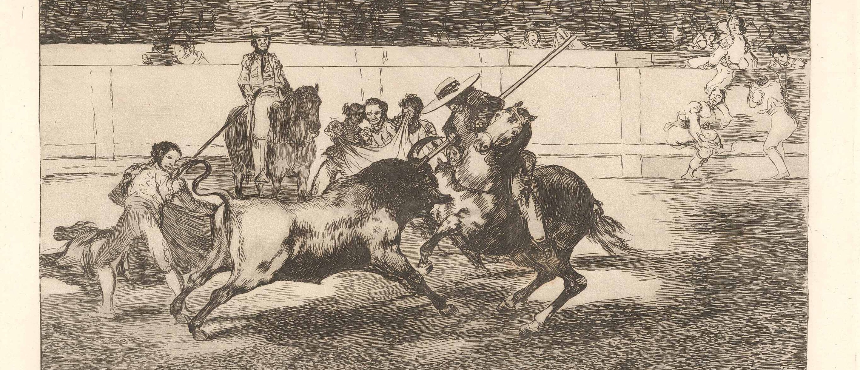 etching of bull fighting 