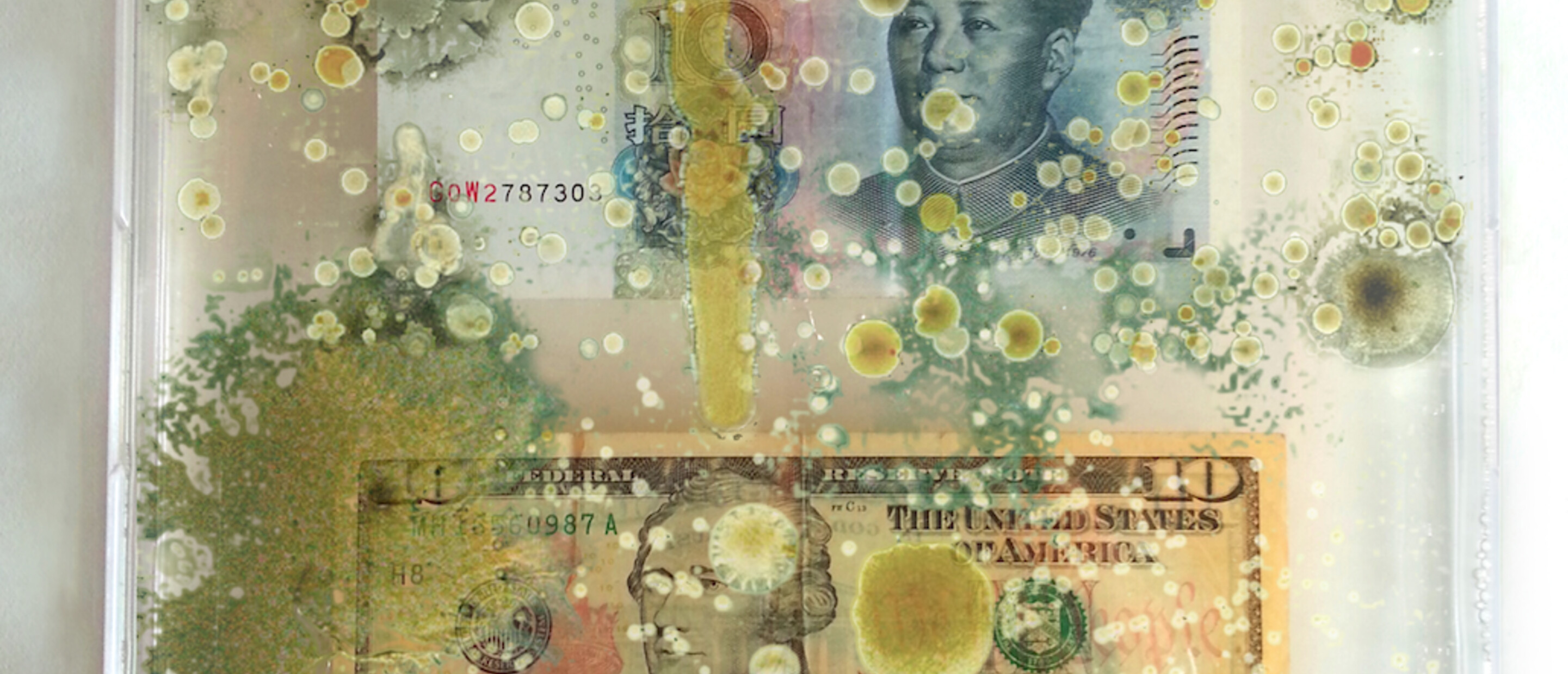 Microbes on money