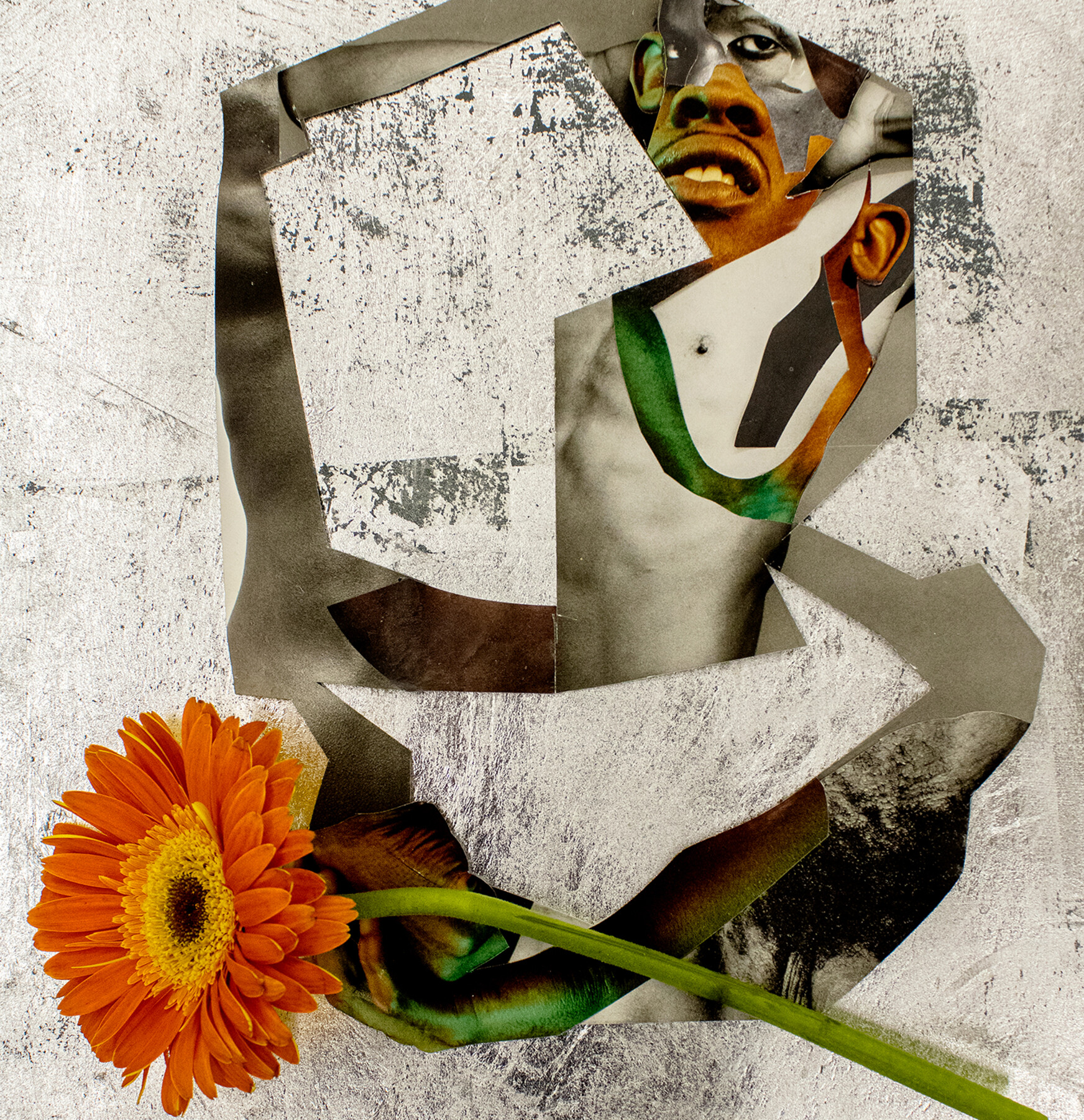 collage with gray fragments, face, and orange flower
