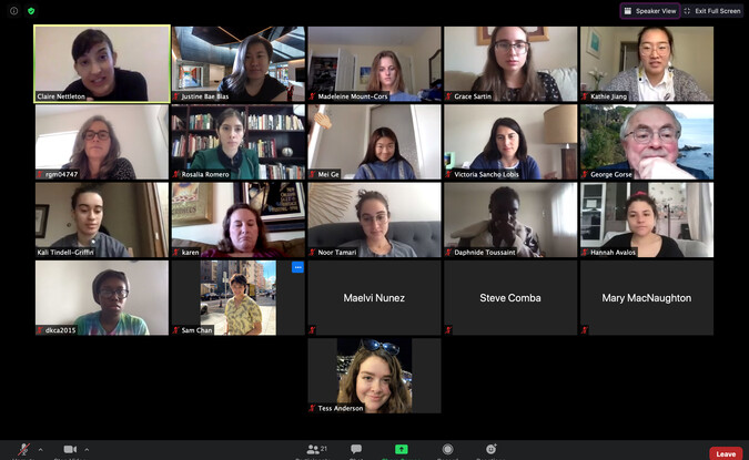 Screenshot of online conference via Zoom