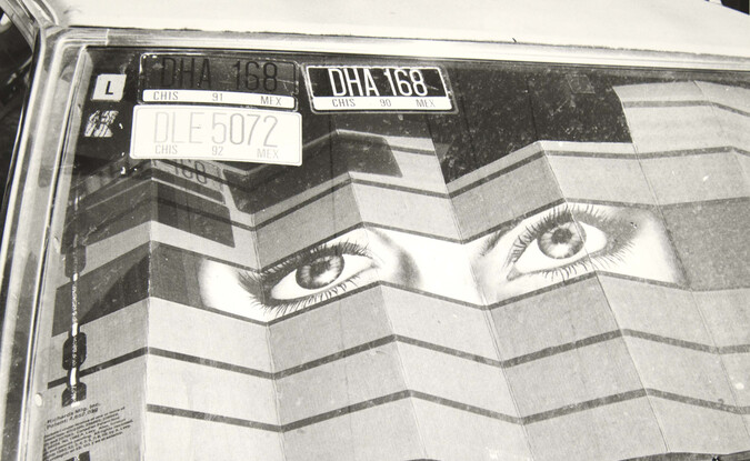 Car hood with sunshade with picture of eyes