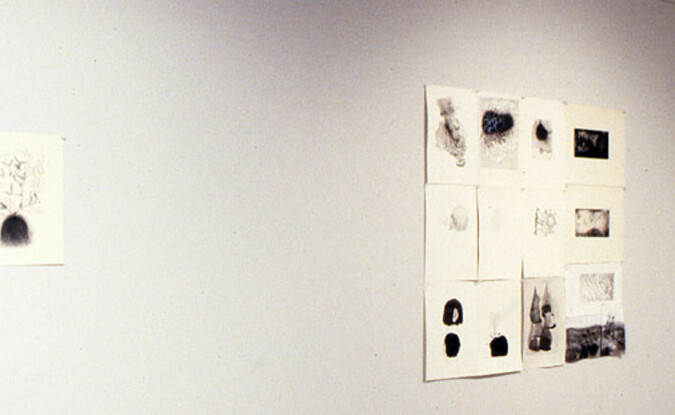 Installation view at Pomona College Museum of Art.