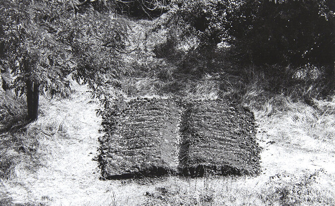 Libro campo (Field Book), 1998, photomechanical print on paper (photo of installation in Bassano in Teverino, Italy), 15 3/4  x 21 5/8 in. (40.01  x 54.93 cm). Pomona College Collection. Gift of the artist.  