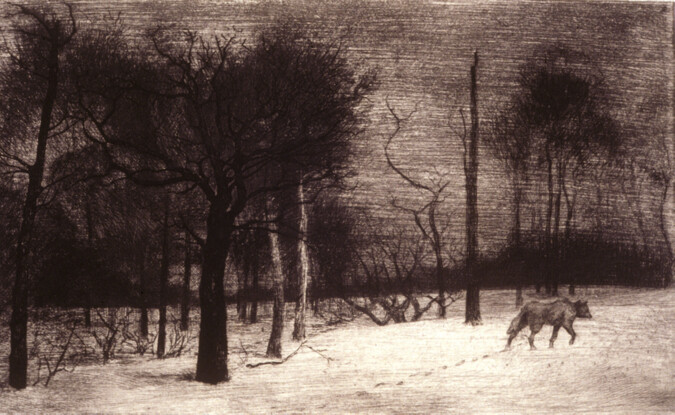 Landscape with trees and wolf walking making footprints in the snow