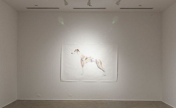 Installation view at the Pomona College Museum of Art