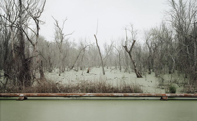 Richard Misrach, Swamp and Pipeline, Geismar, Louisiana, 1998, © Richard Misrach, courtesy of Pace/MacGill Gallery, New York; Fraenkel Gallery, San Francisco; and Marc Selwyn Gallery, Los Angeles