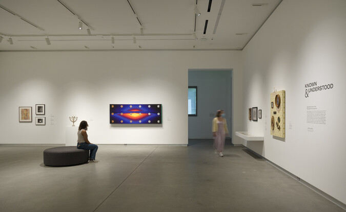 artworks installed on gallery walls with visitors