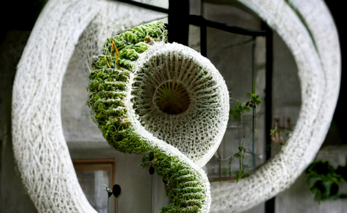 AI generated image of spiral knit and plants