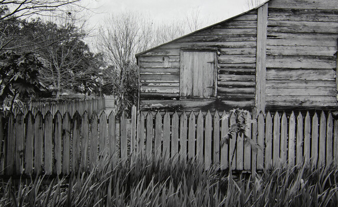 Picket Fence, Tree, and Cabin