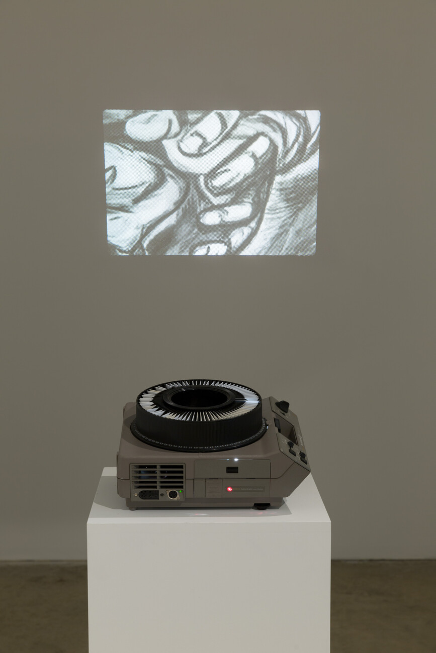 Slide projector projecting monochromatic image 