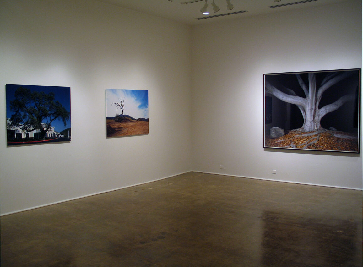 Installation view at Pomona College Museum of Art. View 2.