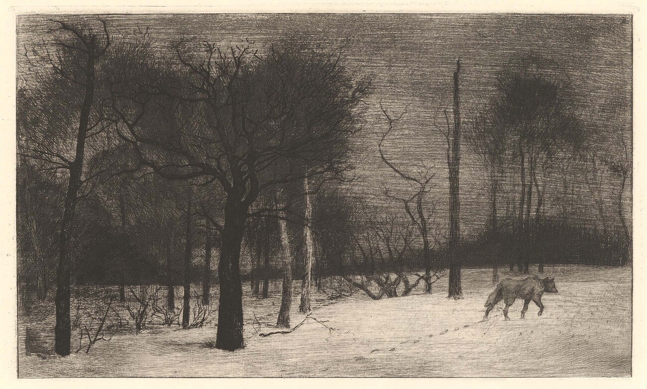 Landscape with trees and wolf walking making footprints in the snow