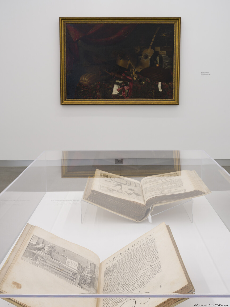 two books in clear case in front of painting of musical instruments