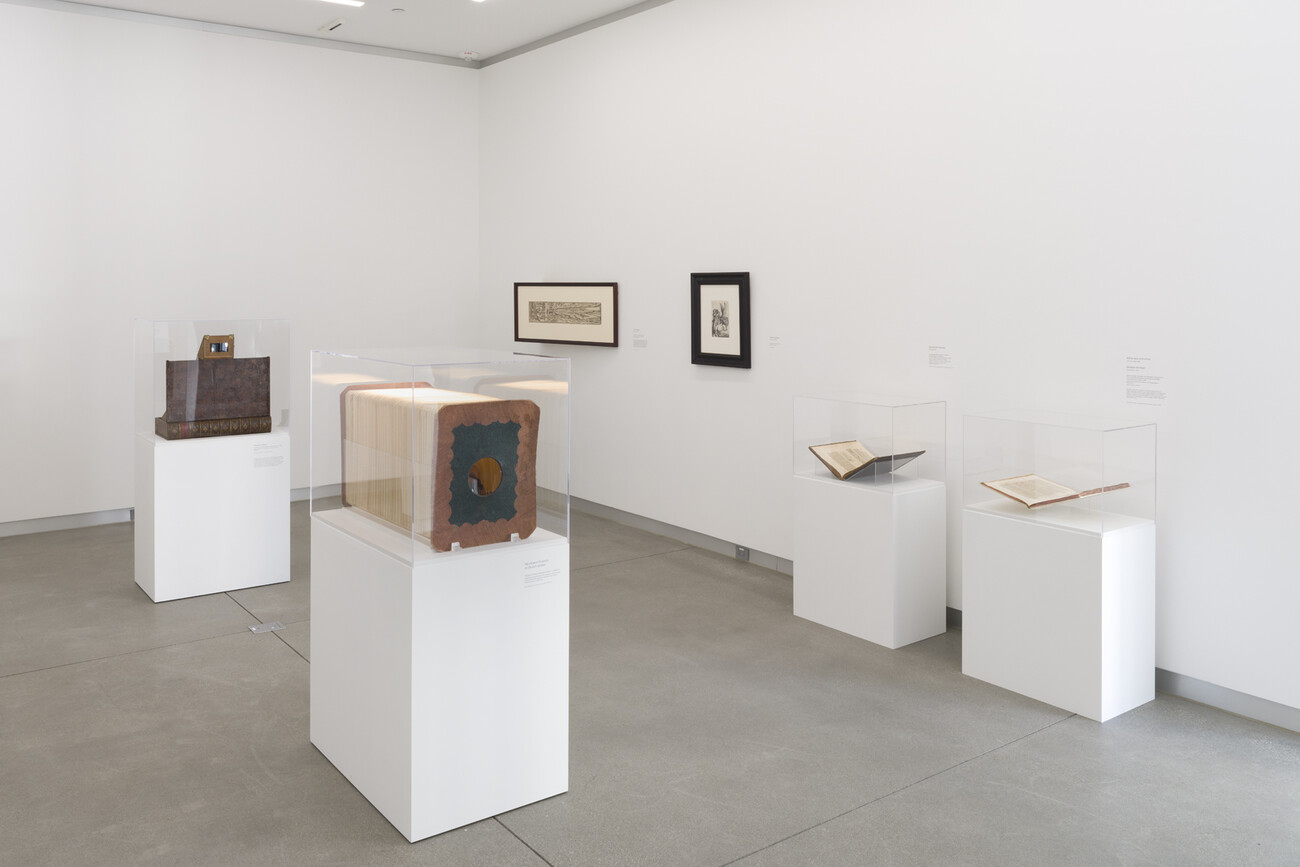 installation view of gallery with two works on the wall and 4 vitrines with books and objects
