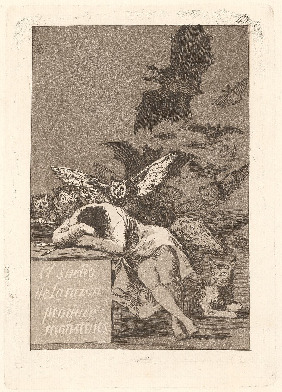 person sleeping with owls, bats, and other animals around them