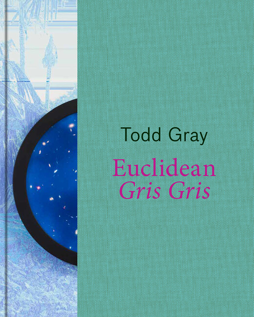 Book cover Todd Gray: Euclidean Gris Gris with image of framed work and green segment