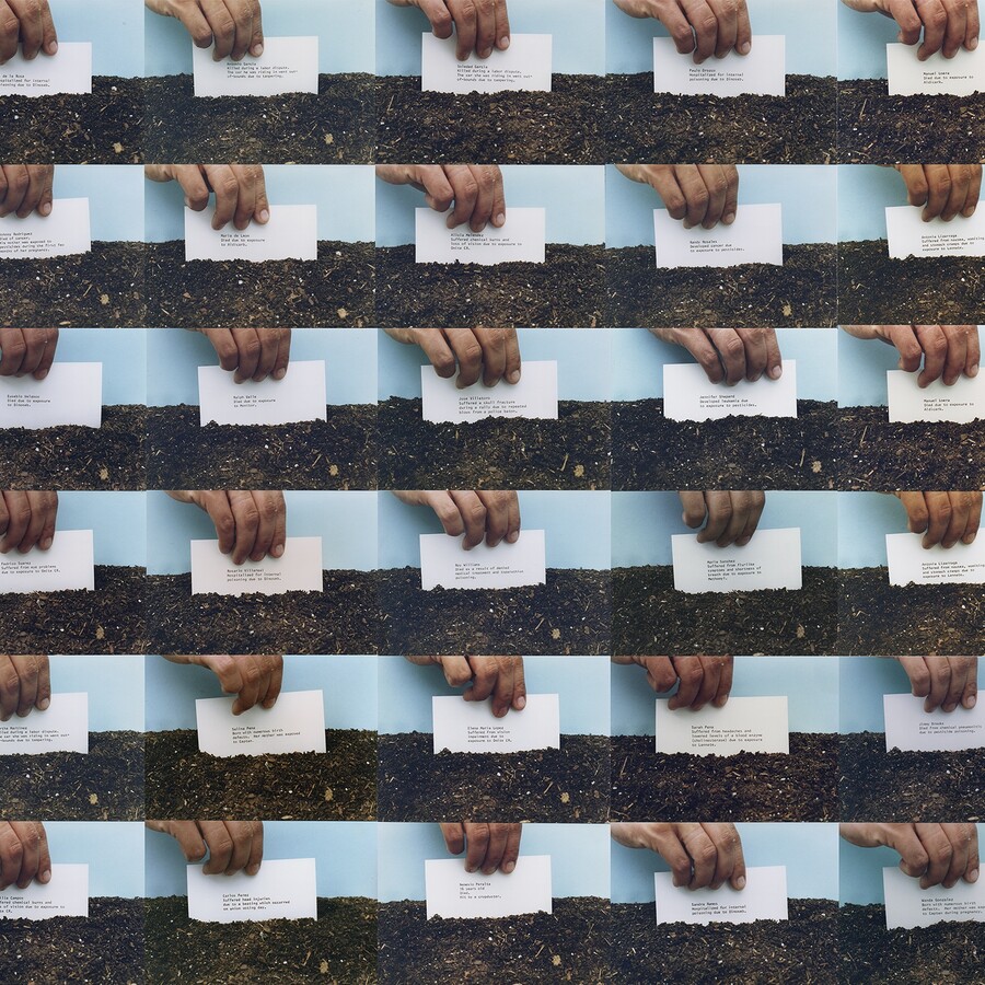 repetition of the same image creating a pattern
