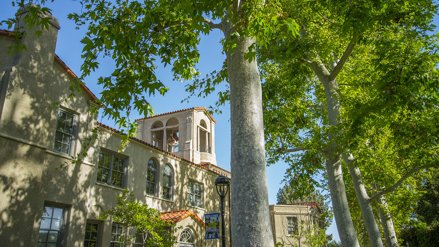 As Seen on Pomona’s Social Media | Pomona College in Claremont ...