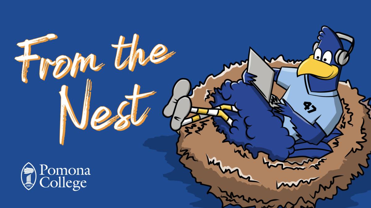 Cecil on a nest with tech and From the Nest sign. 