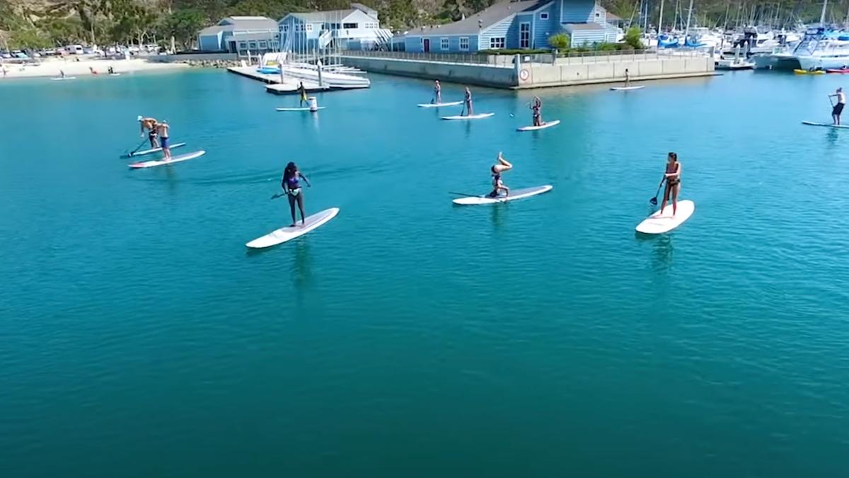 students on paddleboards on the ocean