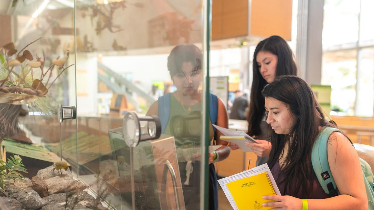 Students at the Bishop Museum