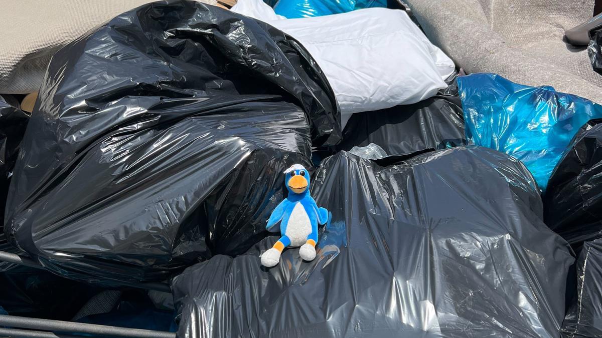 Cecil sitting on pile of trash bags