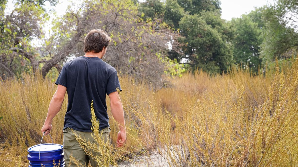 Student in field - outside the classroom