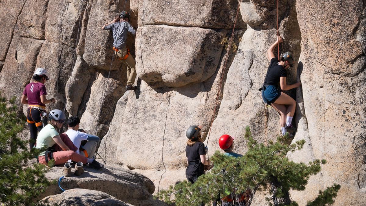 Students rock climbing with ropes.