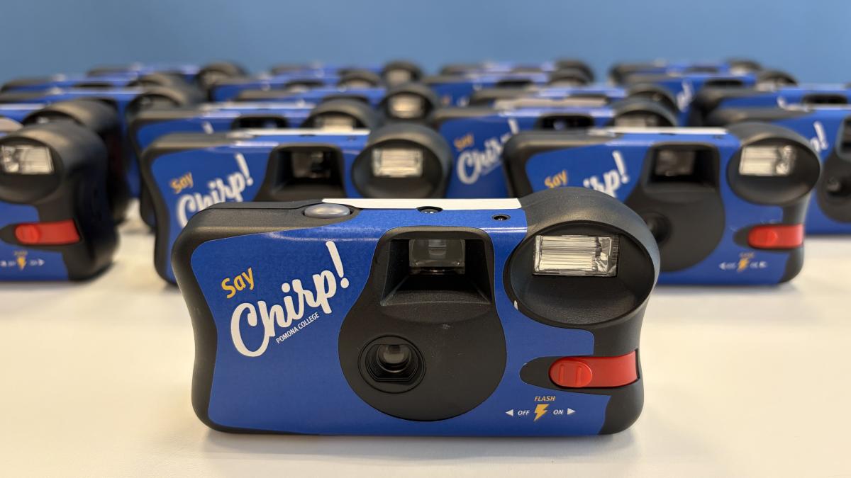 Several disposable cameras